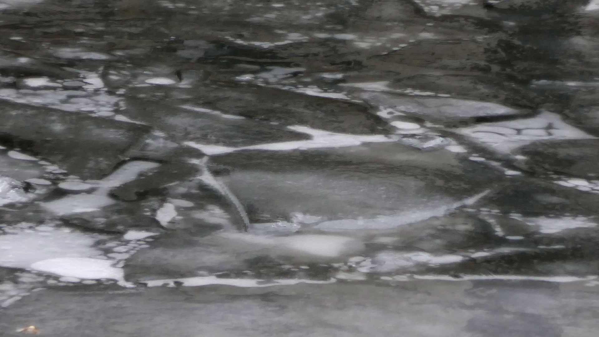 2024-01-22 Schneeschmelze (Audio)